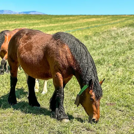 דירה Le Sapin Osséja